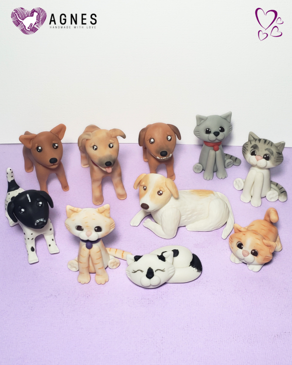 Novios Personalizados y Mascotas - Perros & Gatos